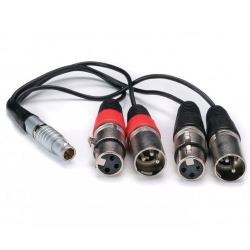 Atomos XLR Breakout Kabel in/out