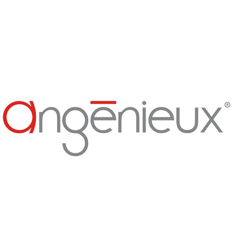 Angenieux EF-Mount für EZ-1 und EZ-2 Objektiv Wechselmount