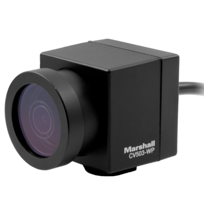 Marshall MS-CV503-WP Miniature HD Camera Minikamera